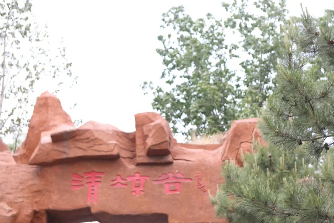 立足當“夏”，覓清涼 | 社科賽斯考研“清涼谷”團建之旅！