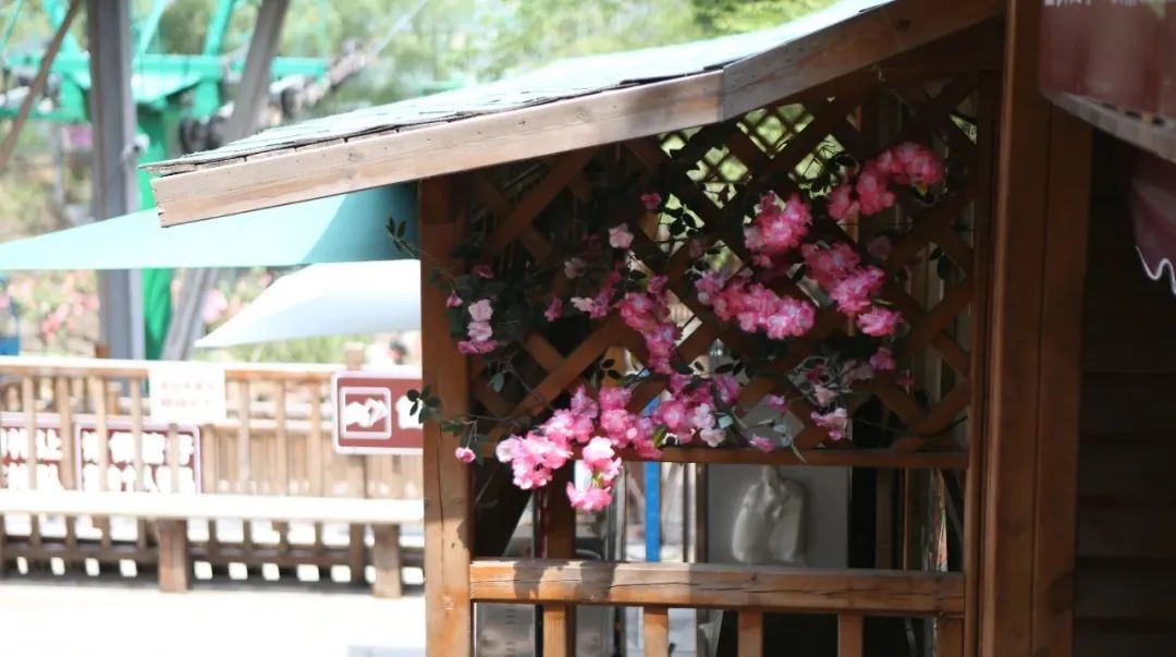 立足當“夏”，覓清涼 | 社科賽斯考研“清涼谷”團建之旅！